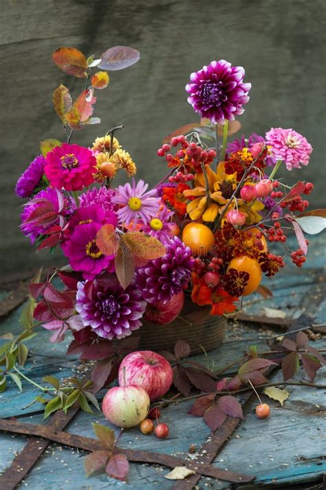 Autumn Bouquet Still Life Fall Flowers Composition With Dahlia Stock