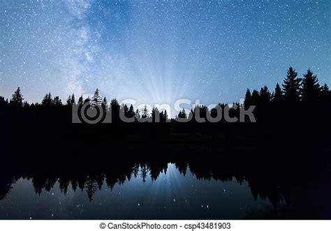 Lake Pine Trees Silhouette Milky Way A View Of The Stars Of The Milky