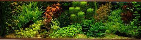 Unsere redaktion hat viele verschiedene hersteller ausführlich getestet und wir lampen zeigen ihnen als interessierte hier alle resultate. Dutch Style Aquarium. - Bart Laurens