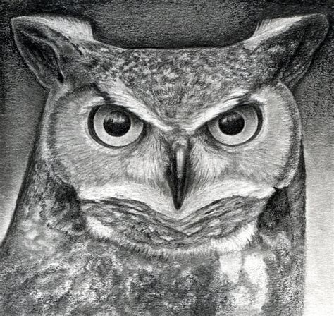 How To Draw A Great Horned Owl Step By Step Drawing Guide By