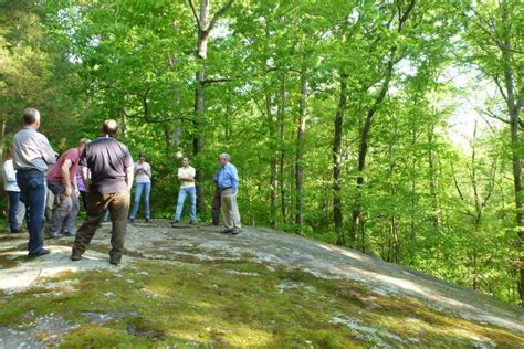Street tree inventory raw data. Preserve and Enhance Tree Canopy - Davidson Lands Conservancy