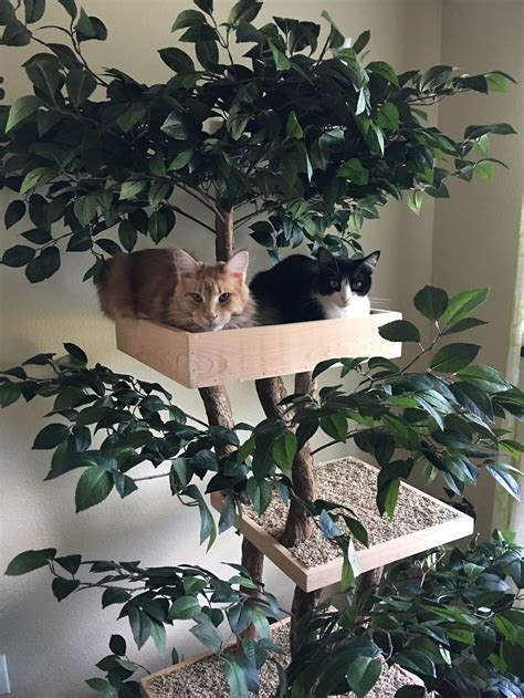 Indoor Cat Towers That Look Like Real Trees Are A Thing And Theyre