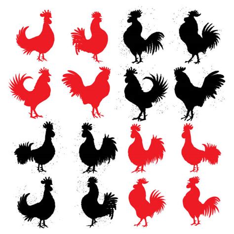 Breeding Chickens Illustrations Royalty Free Vector Graphics And Clip