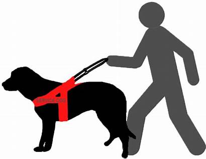 Service Dog Animals Disability Clipart Services Student
