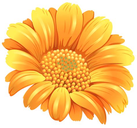Flower Orange Common Daisy Clip Art Orange Flower Png Download 5130