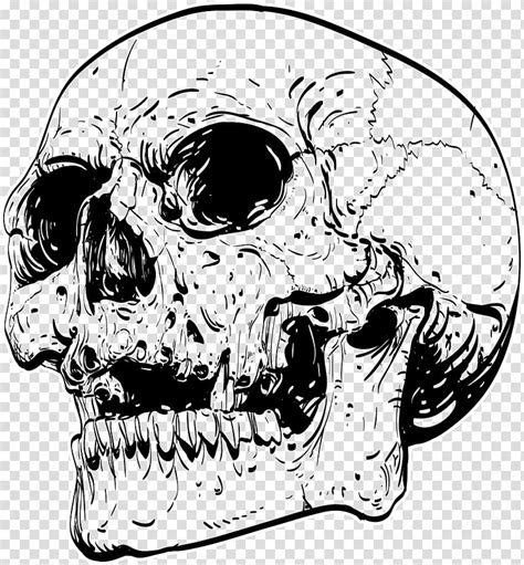 The main thing is to follow all the steps that are described in this guide how to draw a skeleton! black skull sketch, T-shirt Skull Drawing Work of art ...
