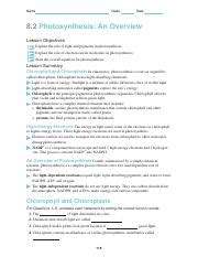 Constructing the equation for photosynthesis. 82 Photosynthesis An Overview Worksheet Answers