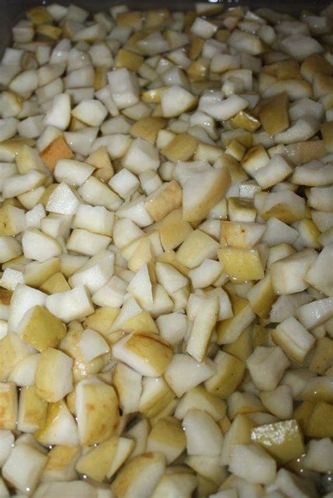 Jual bibit tanaman buah jambu madu deli hijau kualitas unggul harga murah dengan daging renyah, tanpa biji, rasa manis, cepat berbuah dan produktifitas tinggi. Usahawan Bistari: Jeruk Madu Pak Ali