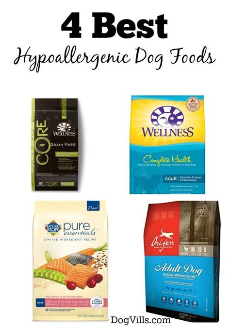 4 Best Hypoallergenic Dog Foods Dogvills Best Hypoallergenic Dogs