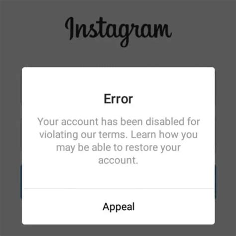 instagram banned my account before i posted a single image here s what i did to fix it