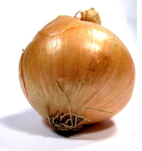 Onionfood Industry News