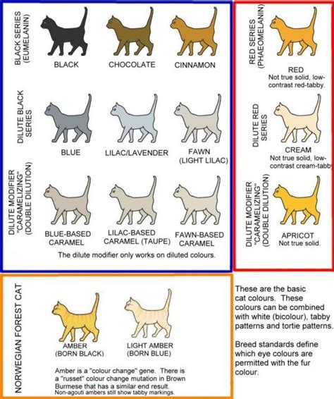 Color And Pattern Charts Of Domestic Cats Neatorama