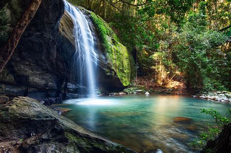 Waterfalls And Walks On The Sunshine Coast Coco Mooloolaba