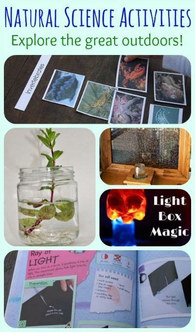 Natural Science Summer Activities For Kids And Moms Library 95 True