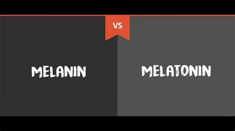 Difference Between Melanin And Melatonin Youtube