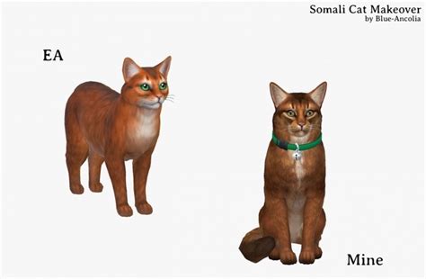 Somali Cat Makeover At Blue Ancolia Sims 4 Updates
