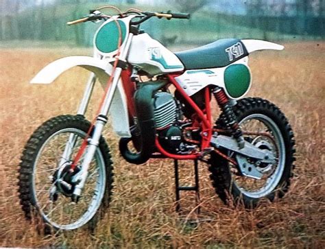 Is tgm panel legit and worth joining? TGM 250 tutti gli anni di produzione