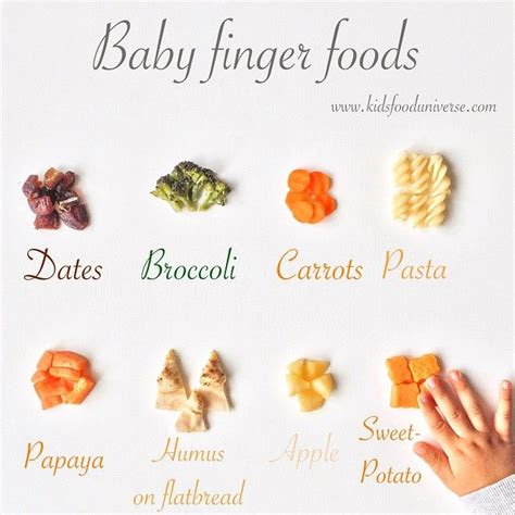 From the what to expect editorial team and heidi murkoff, author of what to expect when you're expecting. Homemade Baby & Toddler Food on Instagram: "Finger foods ...