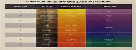 Universal Hair Color Chart