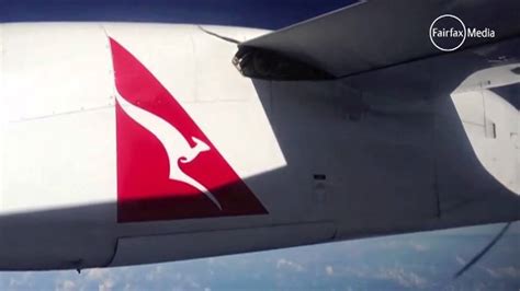 Snake On Qantas Airplane Youtube
