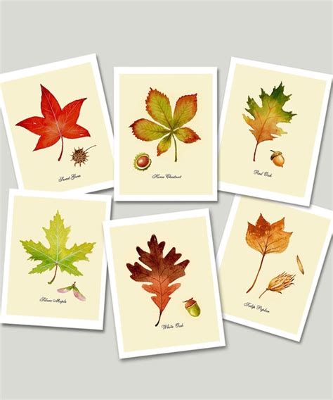 Autumn Leaf Cards Note Cards Fall Cards Thanksgiving Etsy
