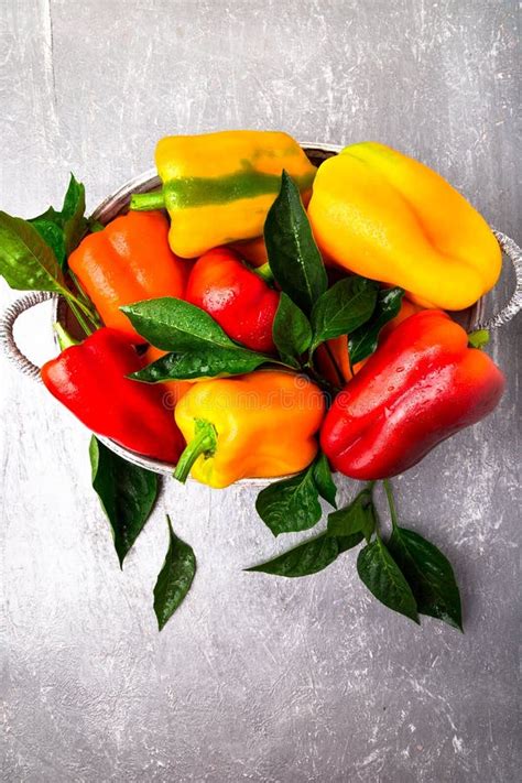 Red And Yellow Bell Peppers In Grey Basket Healthy Organic Vegetables