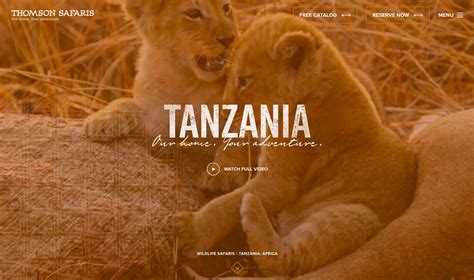 The helvetica font is loved by designers. Serif, Sans, Script & Slab: 4 Font Types Explained ...