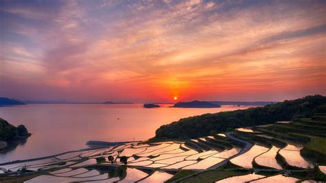 Red Japan Sunset Rice Terraces Wallpaper Download 5120x2880