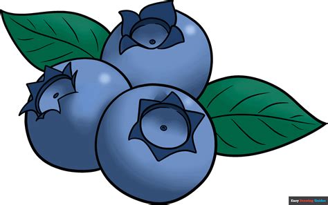How To Draw A Blueberry Really Easy Drawing Tutorial