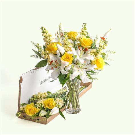 What you see is what you will receive. Send Flowers - Letterbox Flower Delivery - Bloom & Wild
