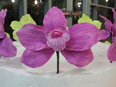 Sugar Orchid Orchids Plants Jewelry