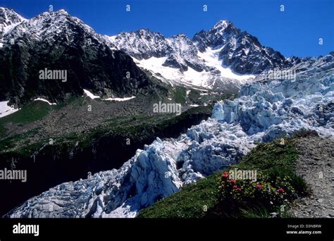 The Argentiere Glacier Mont Blanc Mountain Massif Savoy Alps France