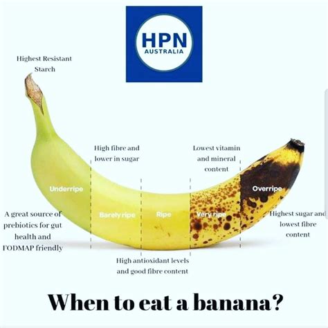 Starch is actually a long polymeric form of sugar that does not taste sweet, so when the bananas are ripe, the starch has already turned into a simple sugar, which. Best Time To Eat Banana Before Or After Meal - Banana Poster