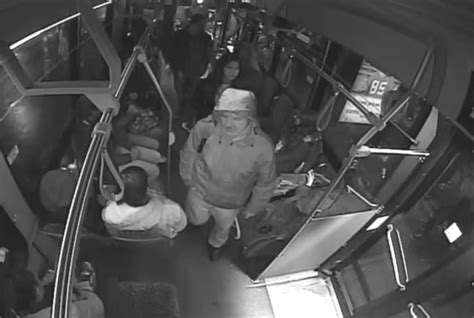 Woman Sexually Assaulted On Bc Transit In Victoria Saanich News