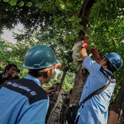 Pelaksanaan p2tl dapat mengikutsertakan penyidik pegawai negeri sipil (ppns) atau penyidik kepolisian republik indonesia atau pihak terkait lainnya. Gaji Pegawai Pln P2Tl - Aplikasi Pengendalian Laporan ...