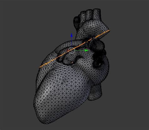 Help With Modeling A 3d Human Heart Blender