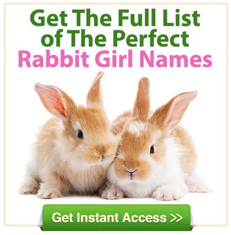 Rabbit Names For Girls Small Pet Select Rabbit Names Female Rabbit