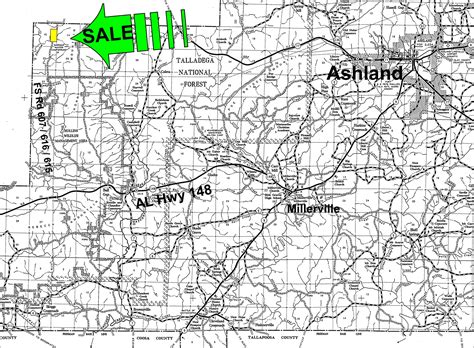 7900 Acres In Clay County Alabama