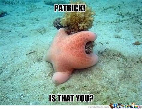 Funny Patrick Meme Patrick Is That You 2 Quotesbae
