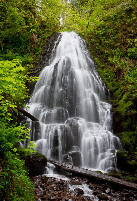 Fairy Falls Multnomah County Oregon Northwest Waterfall Survey