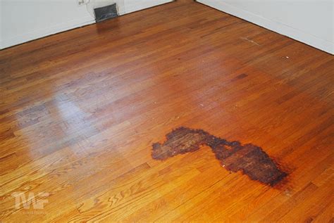 Dark Pet Urine Stains On Hardwood Floors Home Alqu