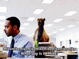 Game day!!!, geico camel hump. Geico Camel GIFs - Get the best GIF on GIPHY