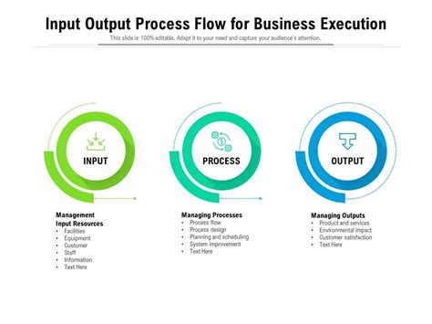 Input Output Process Flow For Business Execution Presentation