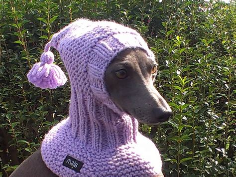 Dog Snood Hand Knit Dog Hat Majstyle
