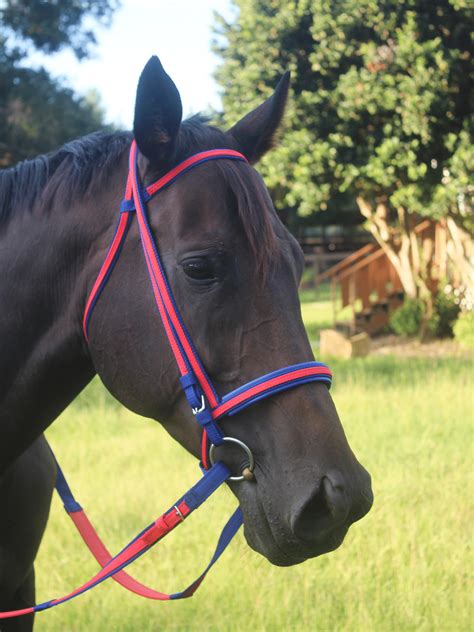 Complete Range Of Horse Racing Tack Blinds Bridles And More