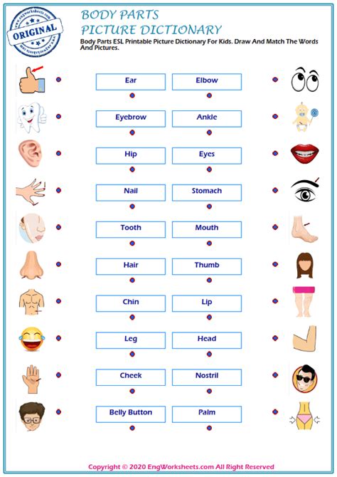 Esl Printable Picture Dictionary Worksheet For Kids Image Preview11