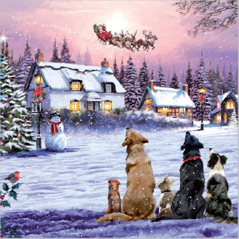 Animal Rescue Charity Christmas Cards 10 Pack Santa And His Reindeers For