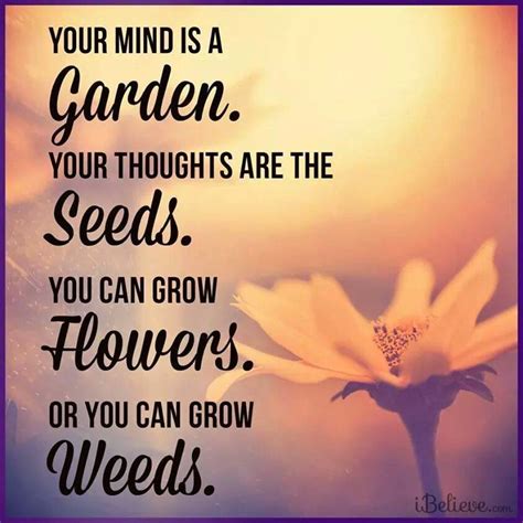 Your Mind Is A Garden Your Thoughts Are The Seeds You Can Grow Flowers Or You Can Grow Weeds