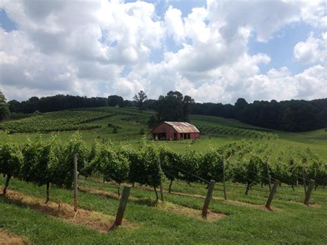 The 25 Best Wineries In The North Georgia Mountains