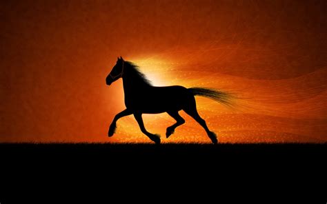 Running Horse Wallpapers Hd Wallpapers Id 770